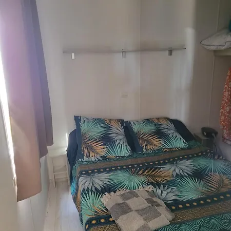 Mh 523 2 Et 1 Salle De Bain Dans 4 Etoiles * Saint-Julien-en-Born
